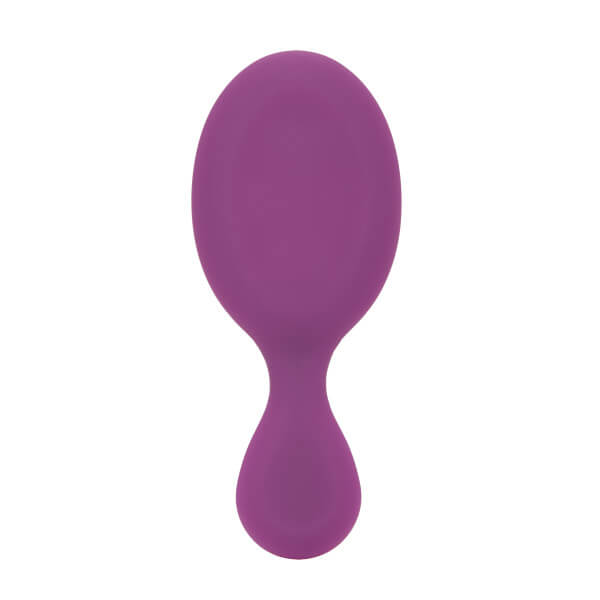 Mini Detangler - Frost Purple