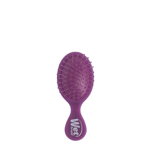 Mini Detangler - Frost Purple
