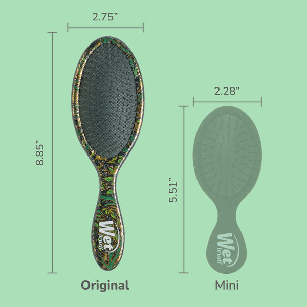 Wet Brush x Universal Wicked Detangle and Style Kit - Elphaba