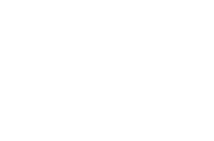 J&D Wet Brush Squirt, pink