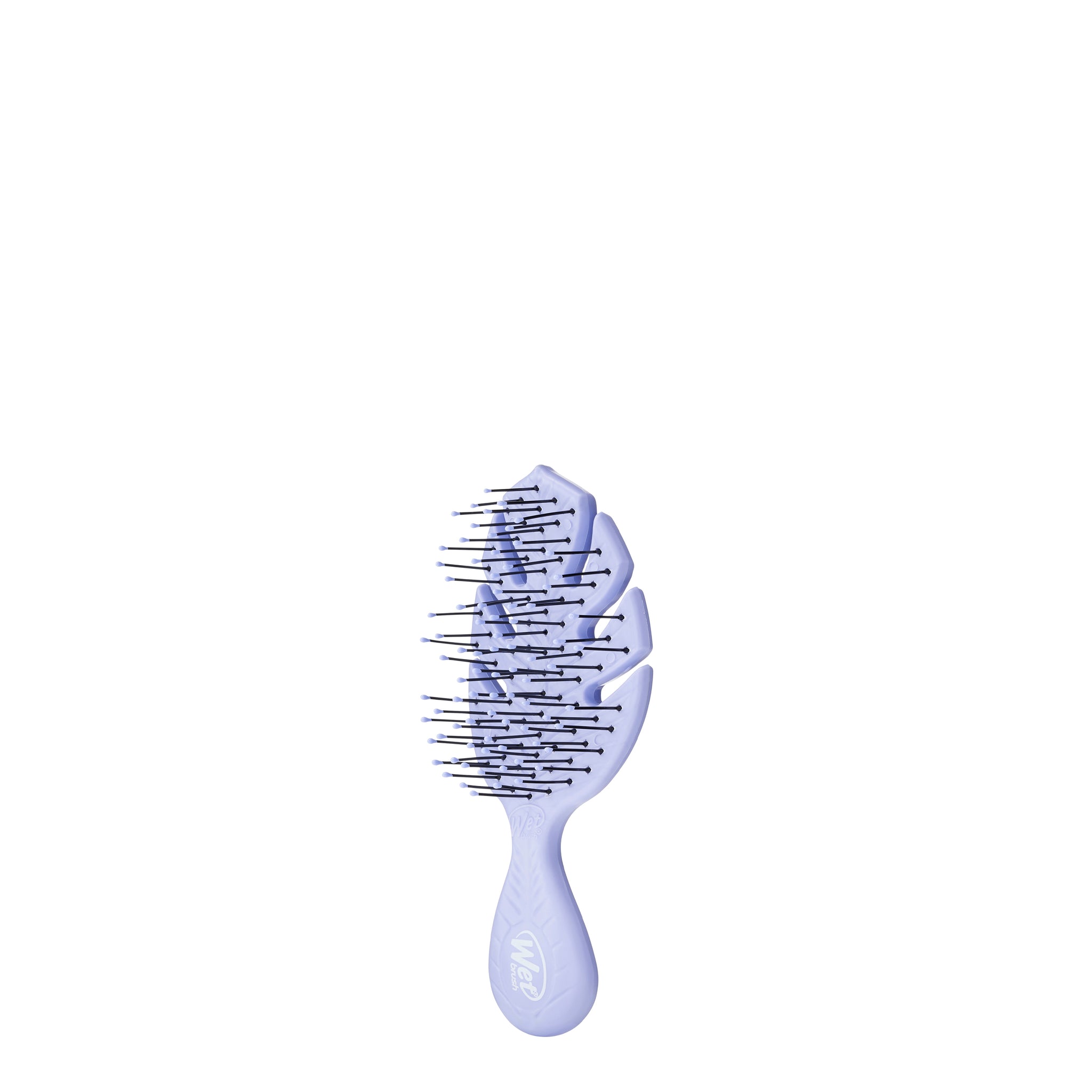 https://wetbrush.com/cdn/shop/products/GOGREENMINIDETANGLER-Oval-PURPLE-HairBrush-BIO832GOPR-WetBrush-Angled_2048x.jpg?v=1666804277